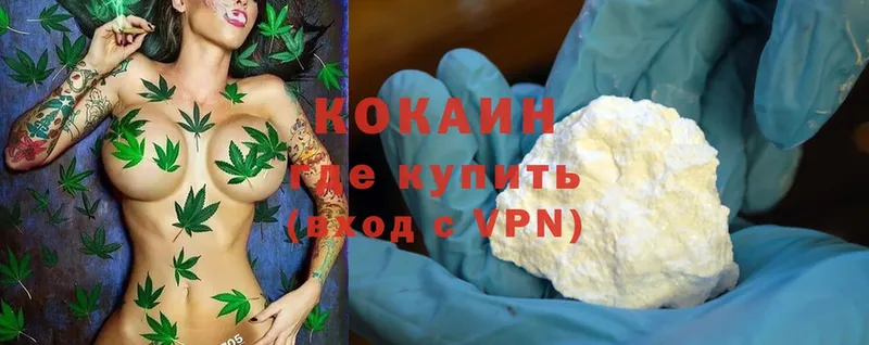 Cocaine Эквадор  купить наркотики цена  Ряжск 